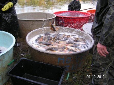 PICT0082