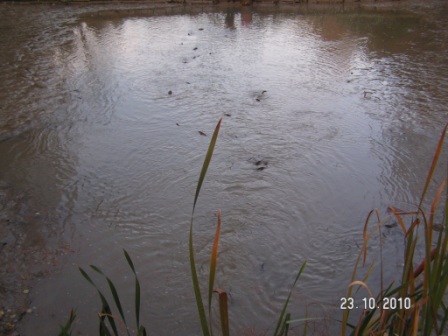 PICT0023