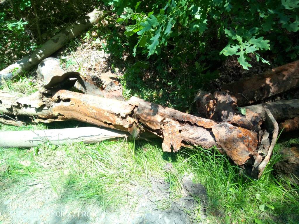 IMG-20210619-WA0004
