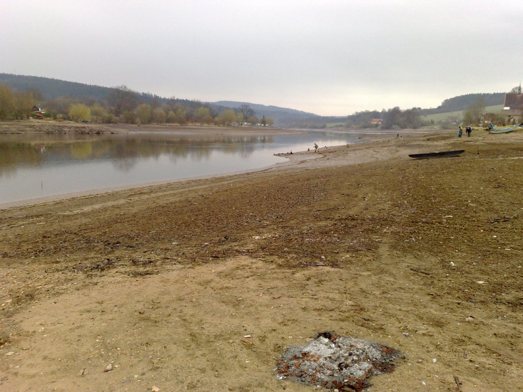 100420101186