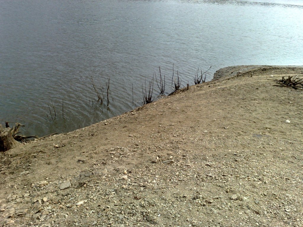 100420101210