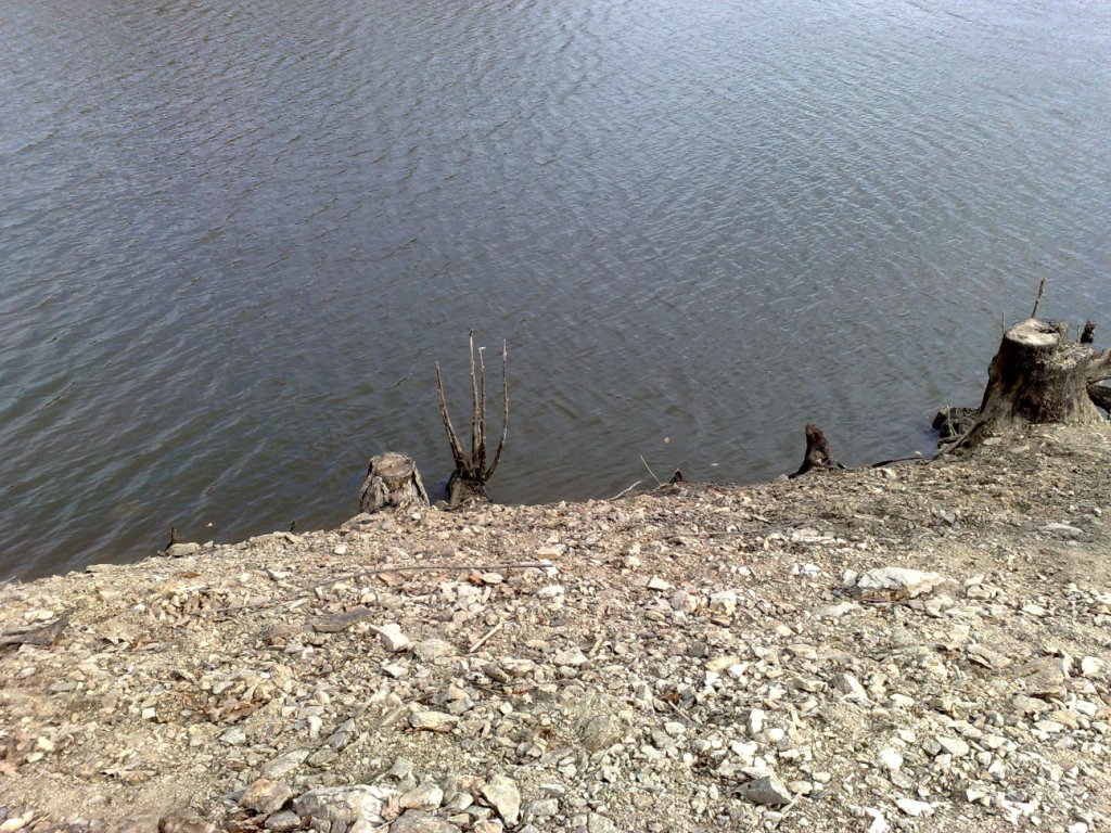 100420101211