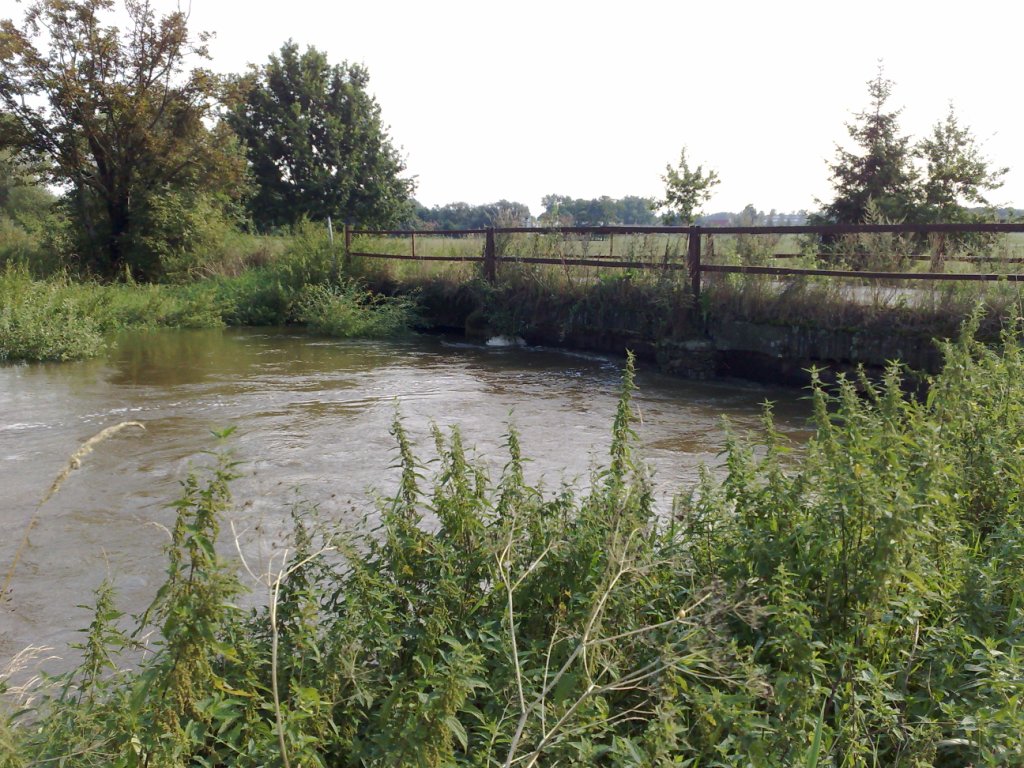 080820101450