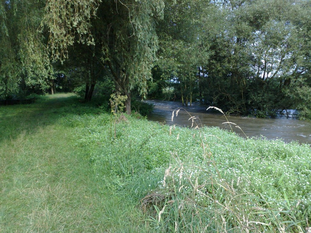 080820101451