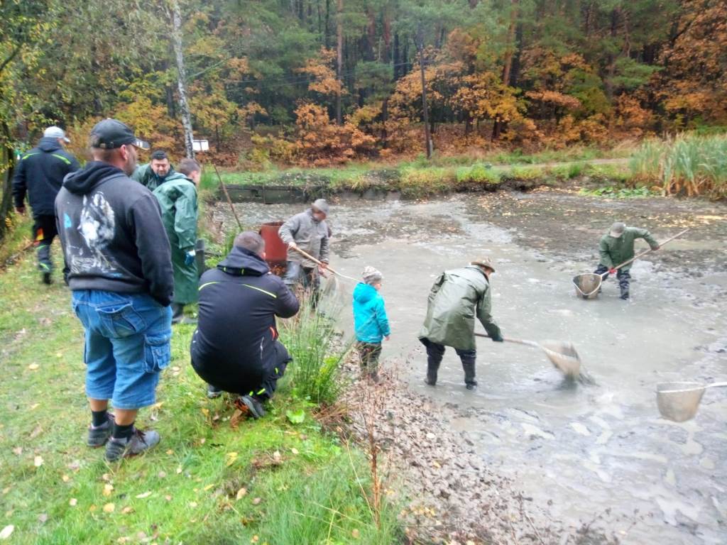 IMG-20231103-WA0001