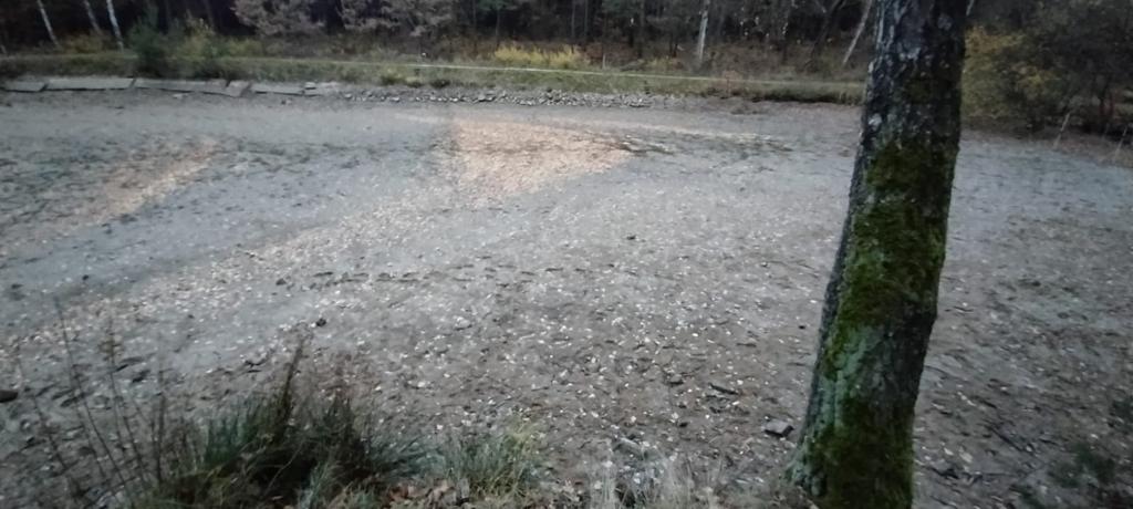 IMG-20231206-WA0004
