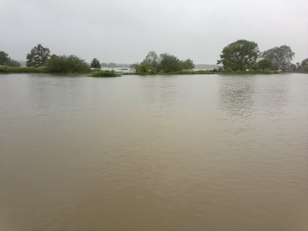 2013-06-03-1134