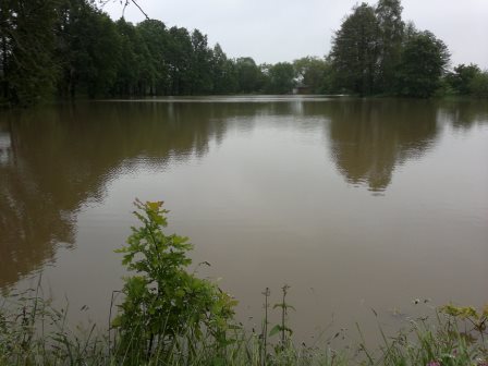 2013-06-03-1170
